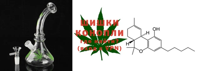 прущие крисы Верея