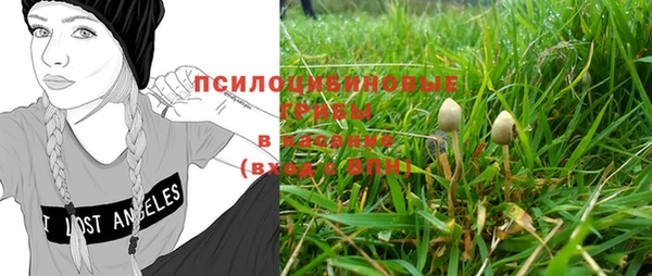 прущие крисы Верея