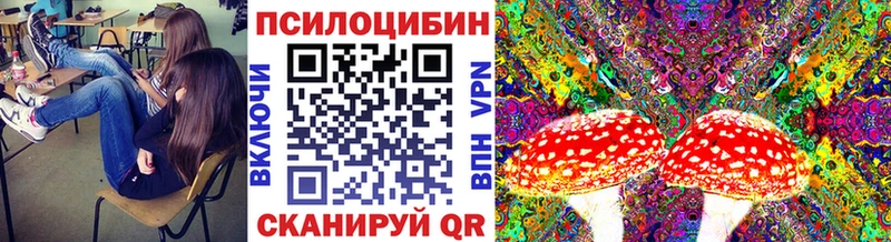 Галлюциногенные грибы Psilocybine cubensis  Горнозаводск 